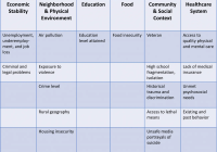 Grid of SDoH and specific risk factors for suicide