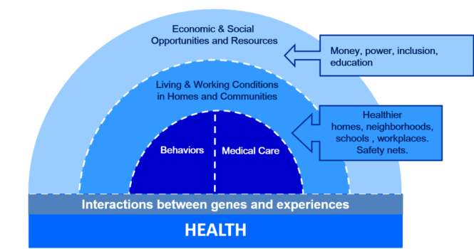 health-inequity-braveman