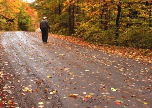 older adult wandering