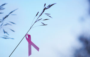 pink ribbon graphic