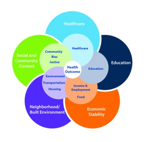 RTI Rarity Conceptual Model